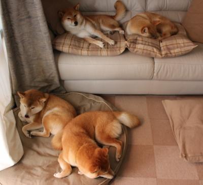 锡安末节独揽18分未能救主,太阳双核加时鏖战力克步行者