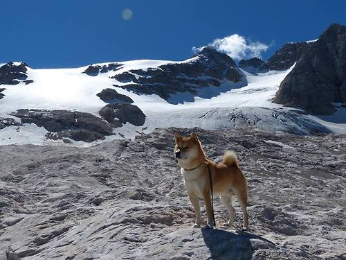 霍勒迪加时主宰!黄蜂鏖战力克老鹰取关键胜利