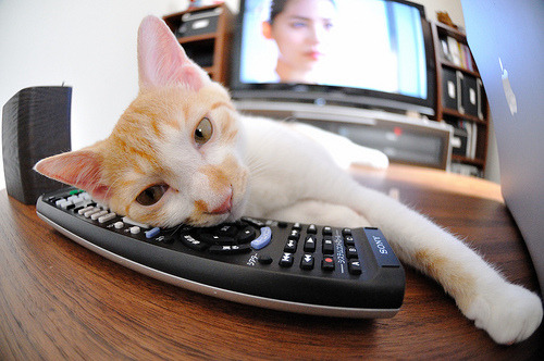 毕尔巴鄂锋芒尽显完胜南美劲旅,卡马文加惊世一击定江山