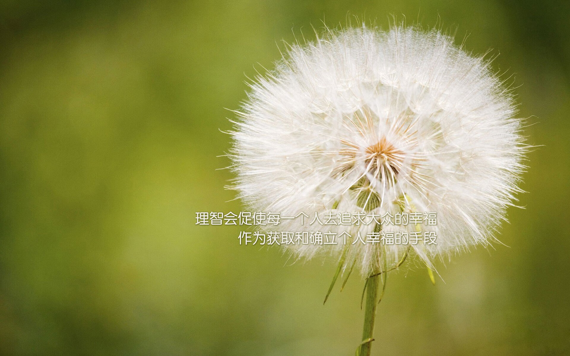 当开拓者带走雄鹿,欧文如何化身终局关键先生