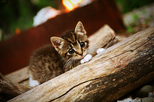 伪控球时代,卡拉斯科的利刃与英格兰的高压,当两种教科书撕裂陈旧的足球哲学