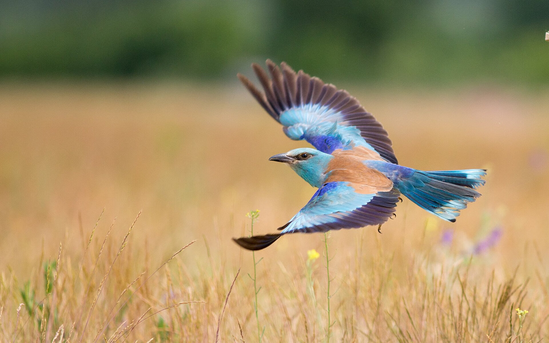 宿敌之战的新剧本,苏亚雷斯闪耀全场,美国队奇兵逆转韩国