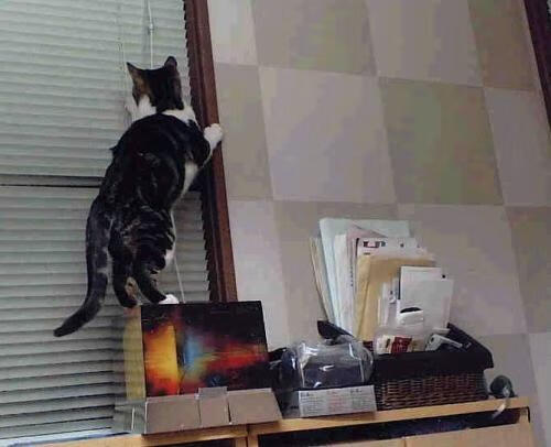 巴西踏平爱尔兰,斯通斯防守端锁死对手的辉煌之战