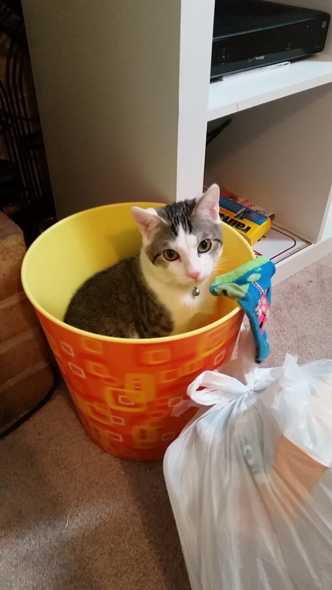 基米希攻防两端统治全场,伊拉克对阵波兰上演战术博弈