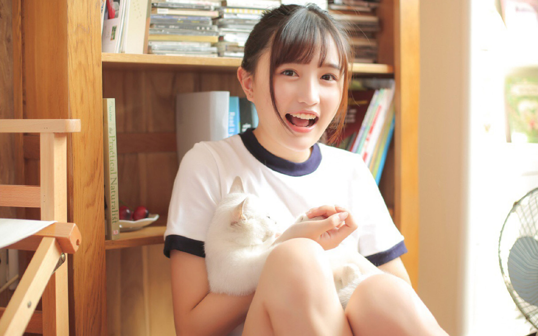 F1新赛季揭幕战焦点对决,浙江队以雷霆之势碾压黄蜂队,开启赛车新纪元