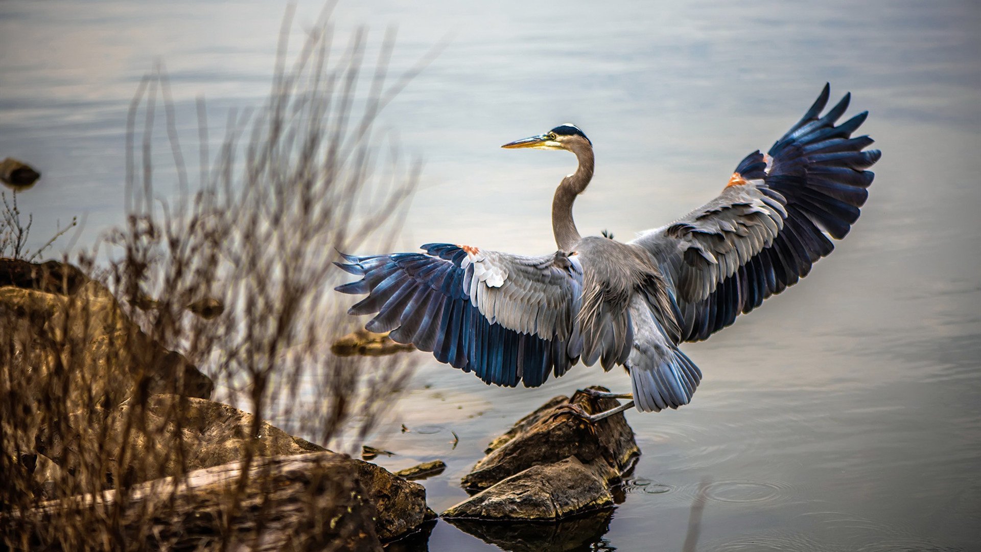 欧冠之巅,C罗绝命一击,拜仁慕尼黑的夜晚见证不手软的传奇