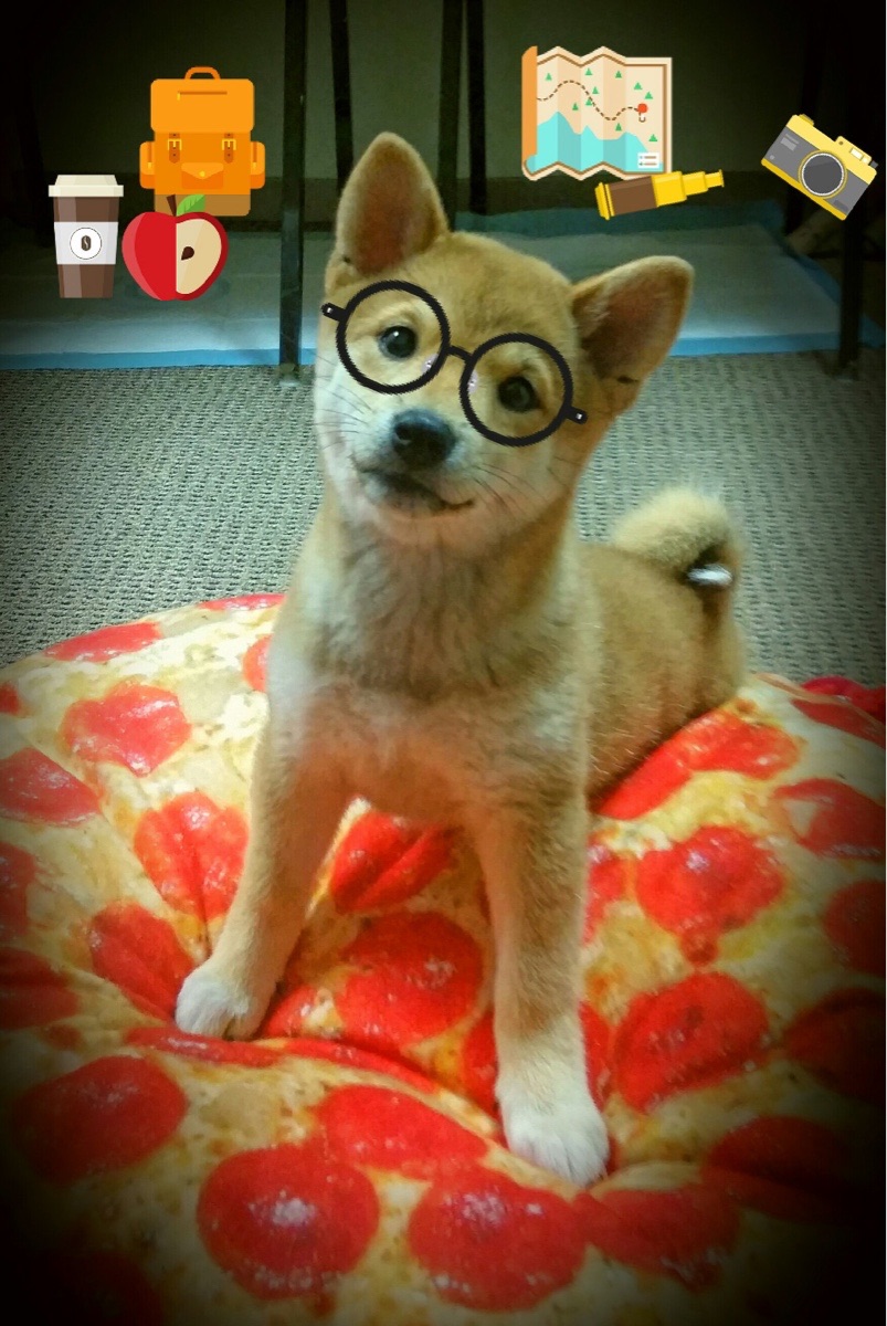 末节狂飙!火箭连续得分狂潮压制骑士,文班亚马化身关键先生定乾坤